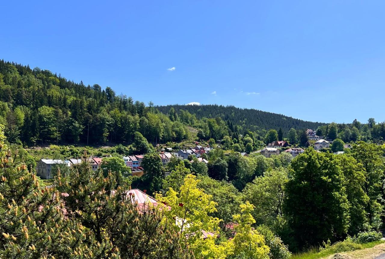 Aparthotel Vila Jáchymov Exteriér fotografie